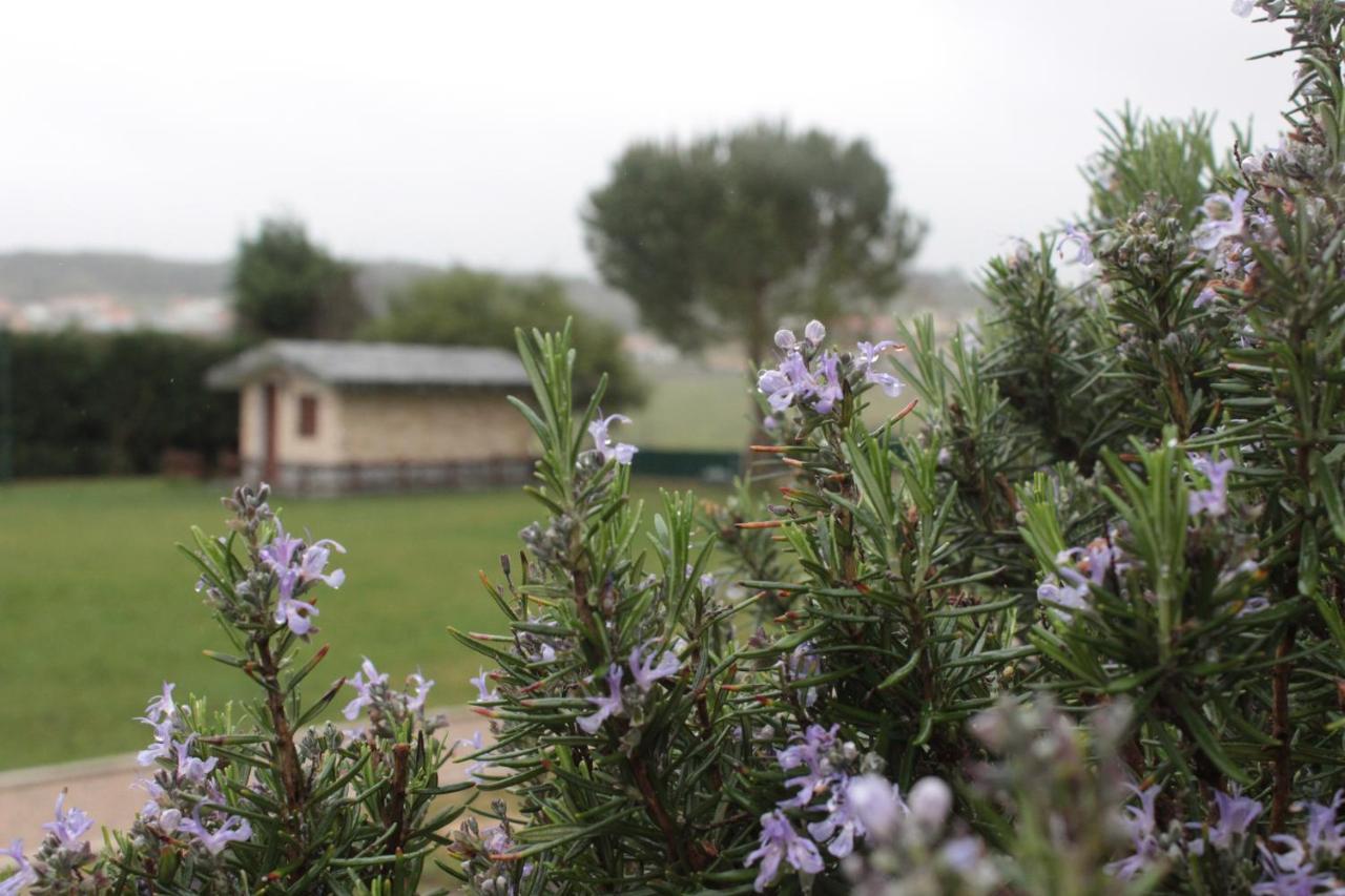Quinta Sobral Prestige - Rustic House Holiday home